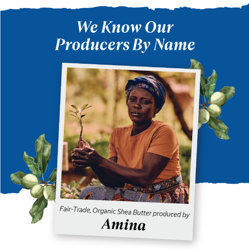 L'OCCITANE Natural Shea Butter Lip Balm 4.5g Ultra Rich 10% Shea Butter Softens and Repairs